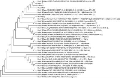 The Omicron (B.1.1.529) SARS-CoV-2 variant of concern also affects companion animals